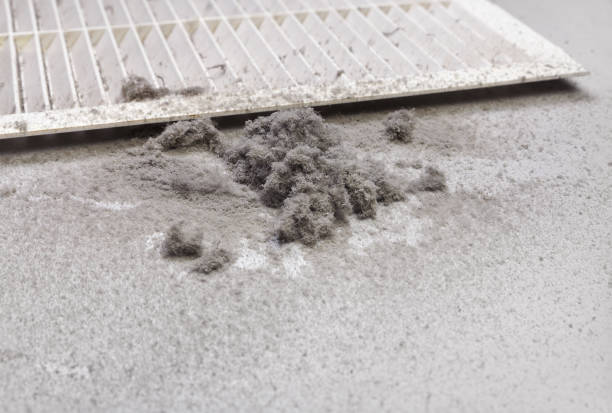 Affordable HVAC Duct Cleaning in WY